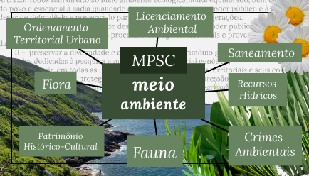 Arquivo de MPSC - ACIF