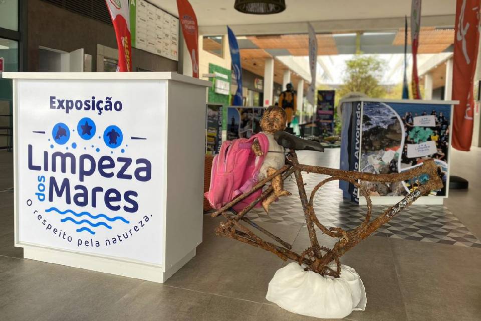 Foto colorida com uma bicicleta enferrujada presa a uma pedra e outras peças encontradas no fundo do mar