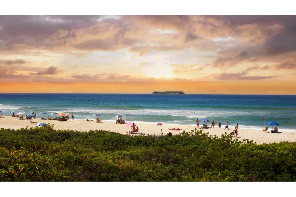 Foto colorida de uma praia com restinga verde na parte inferior e mar azul ao fundo