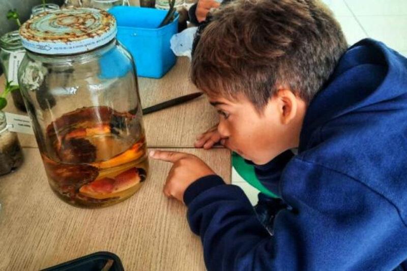 Escola do Mar de Florianópolis realiza Semana de Conservação dos Manguezais