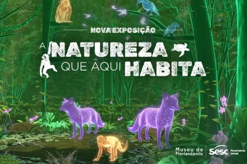 Exposição A Natureza que aqui Habita promove imersão do mangue ao Atlântico em Florianópolis