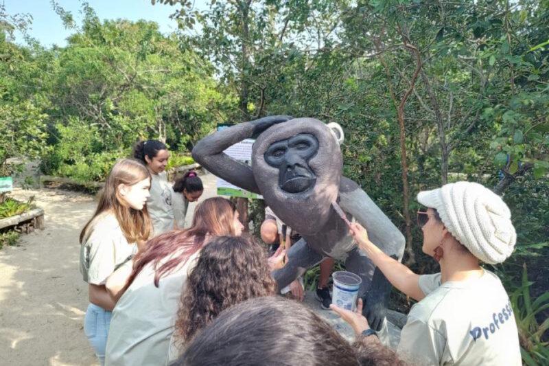 Clube de Geografia ajuda na preservação de animais e plantas no Sul da Ilha