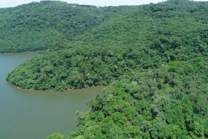 Vista aérea de uma floresta densa com colinas cobertas por árvores verdes e um corpo de água serpenteando ao lado, ilustrando a riqueza da vegetação nativa.