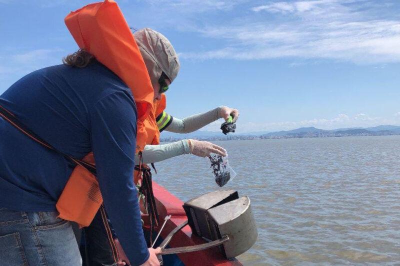 "Dois indivíduos usando coletes salva-vidas laranja e chapéus de proteção, participam de uma coleta de sedimentos no mar. Eles estão em um barco vermelho, inclinados sobre a borda, segurando amostras de sedimentos úmidos em sacos plásticos. Ao fundo, vê-se um horizonte com montanhas e uma cidade ao longo da costa sob um céu parcialmente nublado."