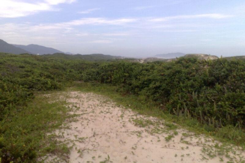 "Foto de uma trilha de areia cercada por vegetação de restinga, em uma área natural. O caminho segue em direção ao horizonte, onde se podem ver colinas e montanhas ao fundo, sob um céu parcialmente nublado. A vegetação é predominantemente verde, com plantas rasteiras e arbustos que caracterizam o ecossistema típico de áreas litorâneas. A paisagem transmite uma sensação de tranquilidade e preservação ambiental."