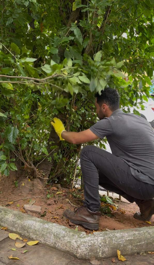 Homem agachado faz poda de árvore usando luvas amarelas em calçada arborizada.