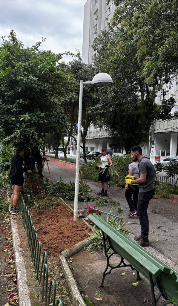 Pessoas organizam poda e limpeza ao redor de árvore em calçada urbana.
