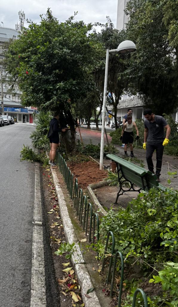 Grupo realiza mutirão de jardinagem em canteiro próximo a banco e poste.