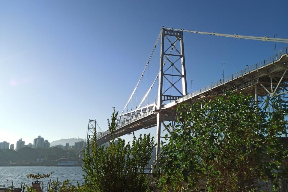 Ponte pênsil metálica cruza a baía sob céu limpo; folhagens em primeiro plano e cidade ao fundo.