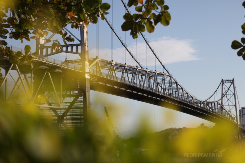 Fotografia da Ponte Hercílio Luz vista de baixo, com estrutura metálica em destaque, folhas desfocadas em primeiro plano e céu azul ao fundo.