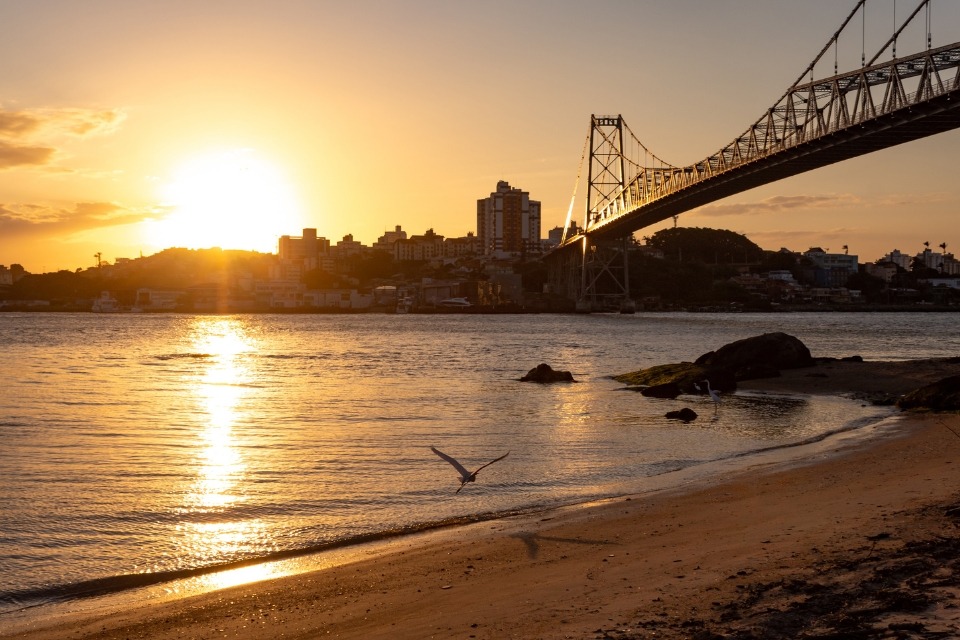 Fotografia de pôr do sol sobre a água, com ponte metálica à direita, cidade ao fundo e ave voando rente à praia.