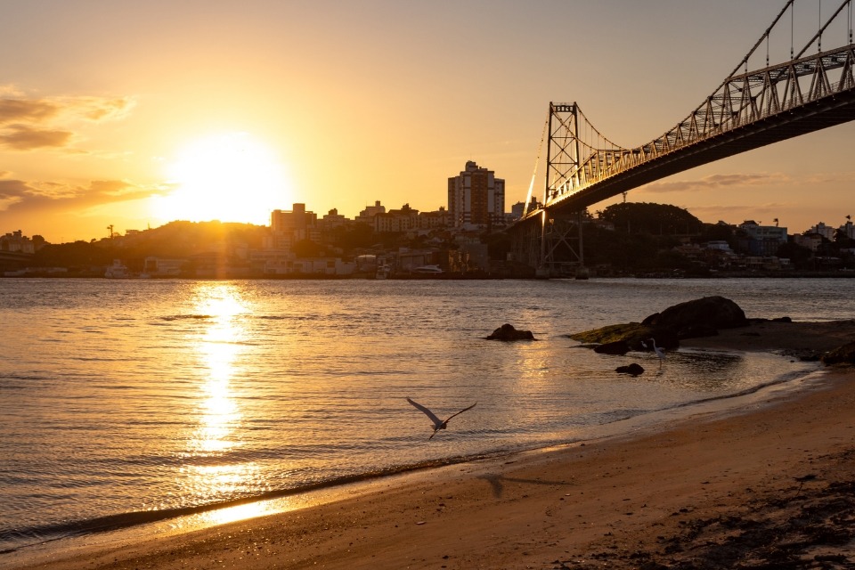 Fotografia do pôr do sol na Ponte Hercílio Luz, com reflexo dourado no mar, praia e gaivota em voo.